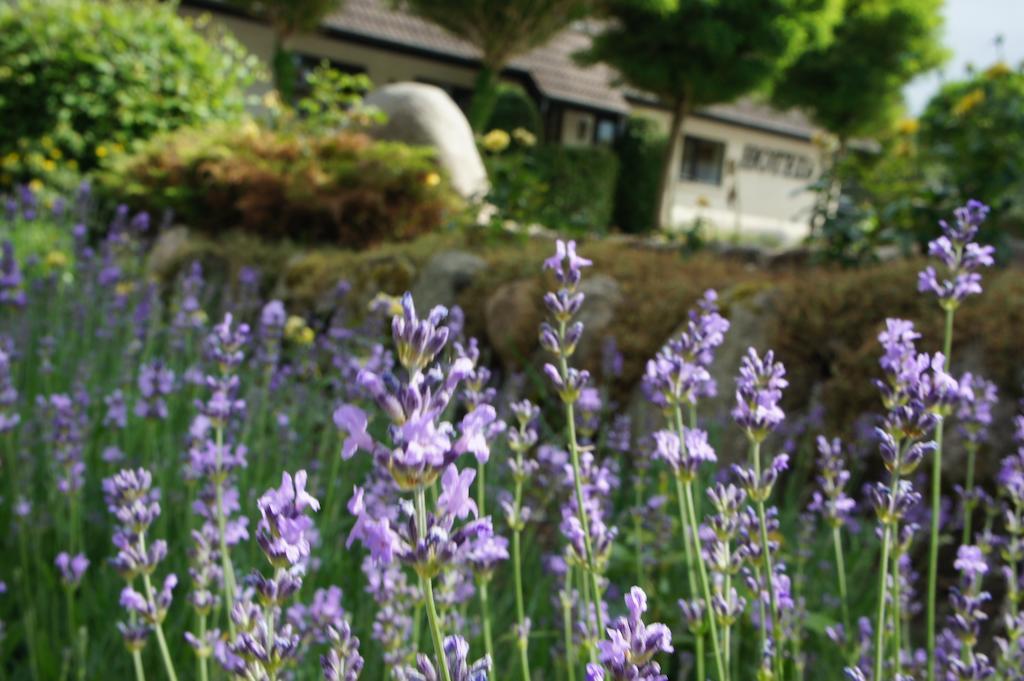 Lyng Dal Hotel Og Restaurant Ry ภายนอก รูปภาพ